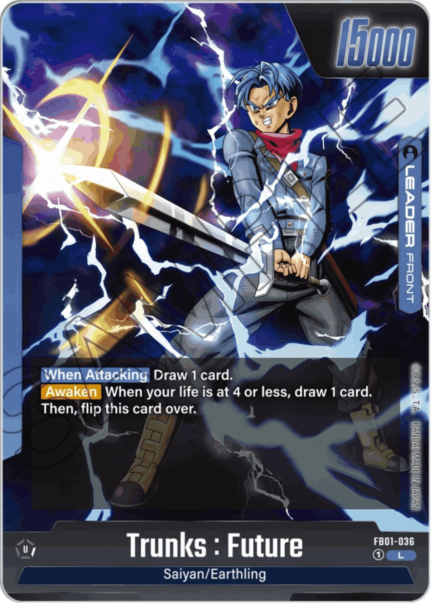FB01-036 - Trunks: Future