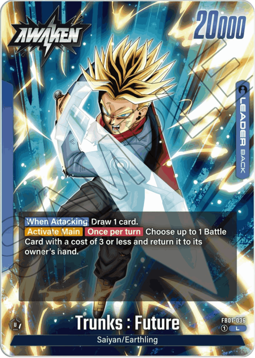 FB01-036 - Trunks: Future