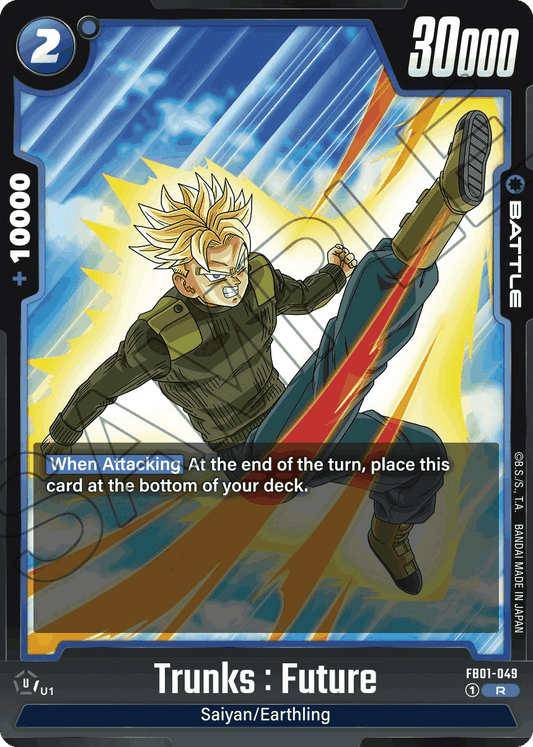 FB01-049 - Trunks: Future