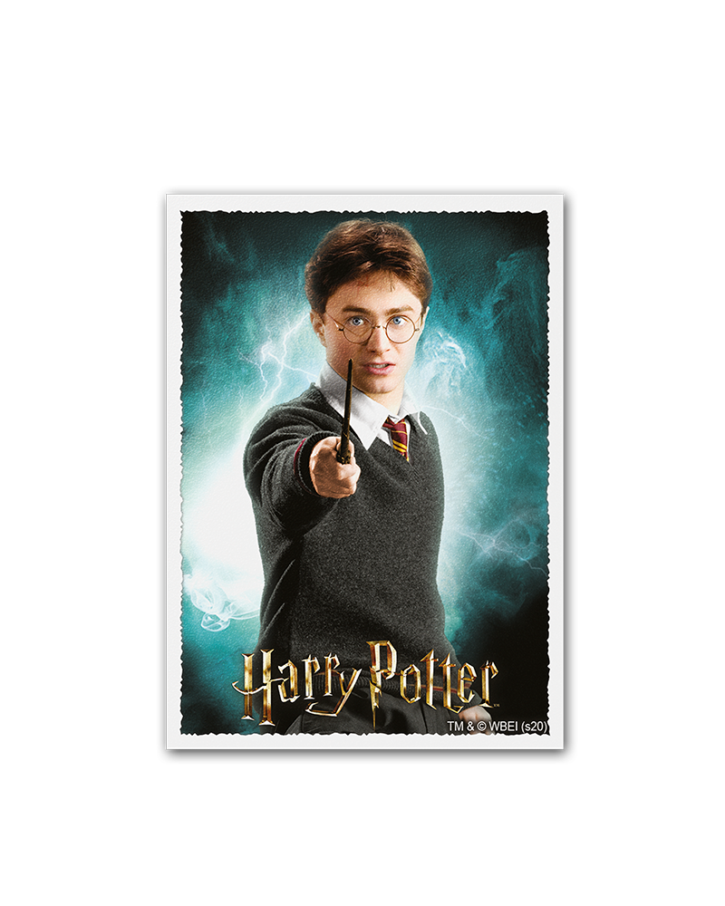 Dragon Shield: Sleeves – Matte Art – WizardingWorld: Harry Potter