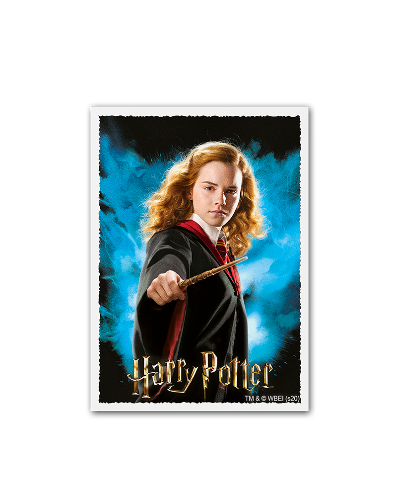 Dragon Shield: Sleeves – Matte Art – WizardingWorld: Hermoine Granger