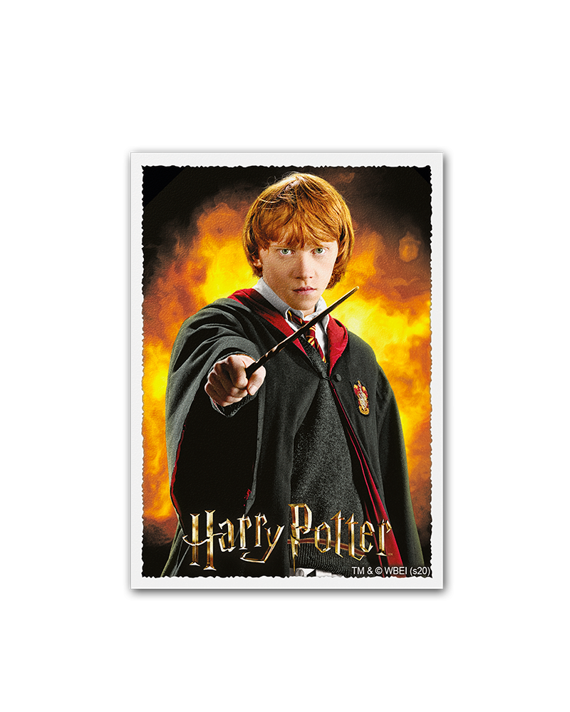 Dragon Shield: Sleeves – Matte Art – WizardingWorld: Ron Weasley